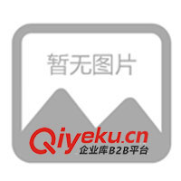 供應(yīng)美國(guó)DYKEM STEEL RED紅標(biāo)墨